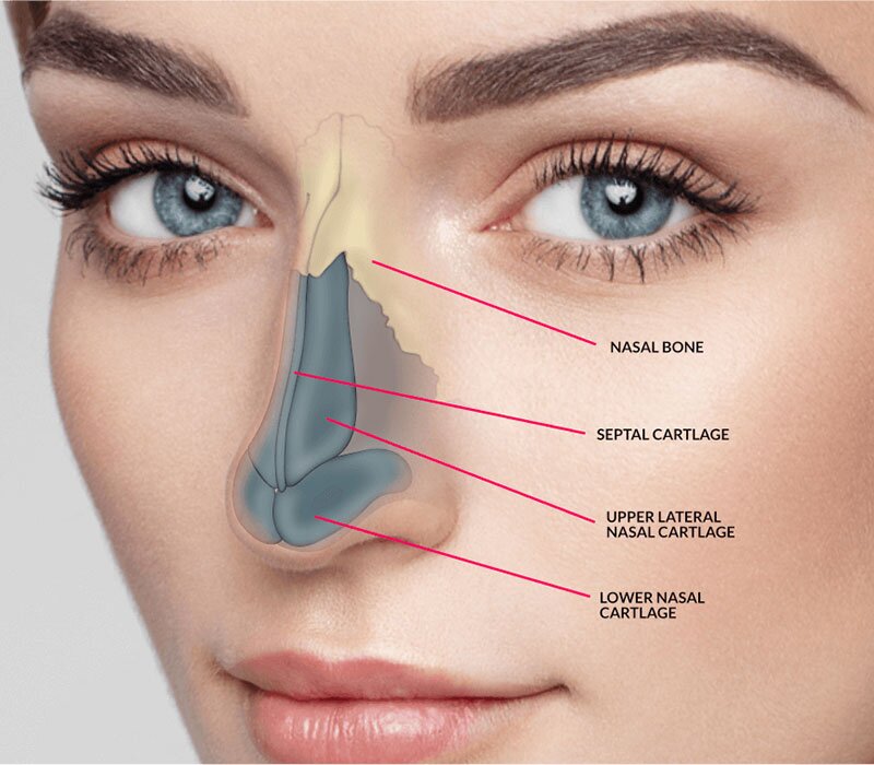  Best Rhinoplasty Surgeon in Delhi